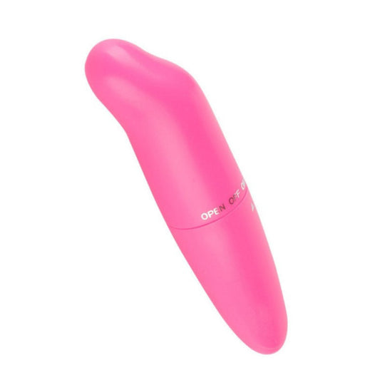 Mini Dolphins Vibrator